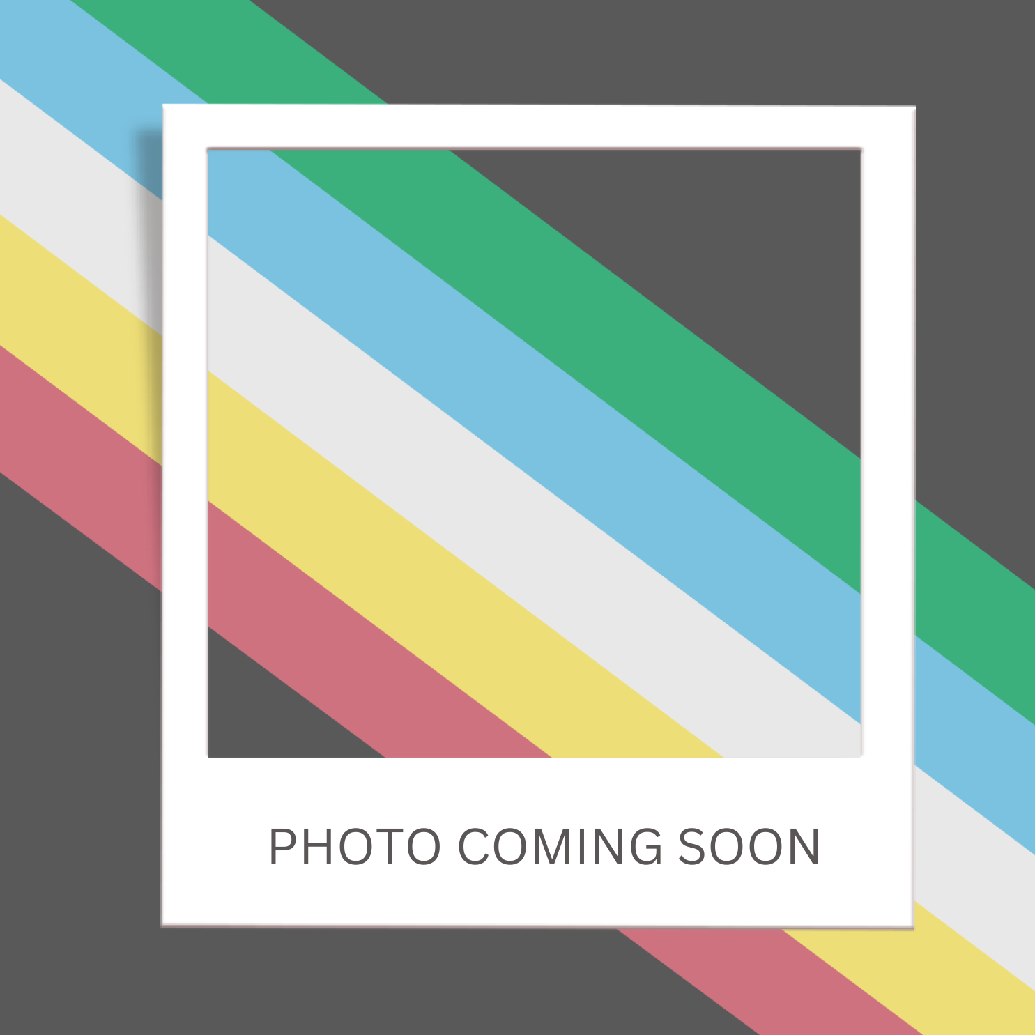 Polaroid frame over a disability pride flag with the words "Photo coming soon"